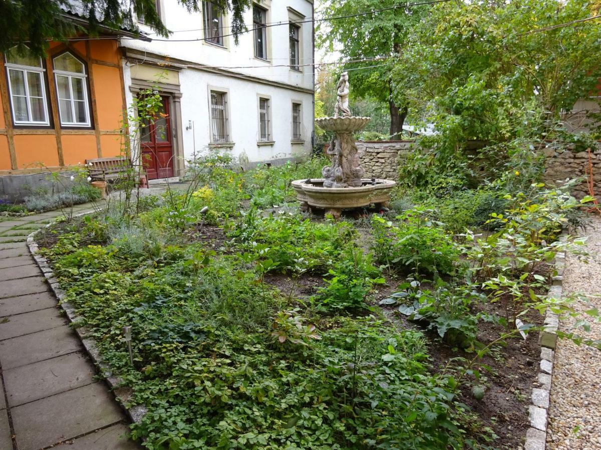 Hummel Hostel - Historische Stadtvilla Mit Garten فايمر المظهر الخارجي الصورة